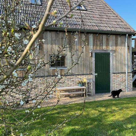 Husterheide Villa Noordbergum Exterior foto